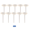 Dental Polishing Brush Wheel White Goat Hair 19mm 10pcs/Pack - azdentall.com