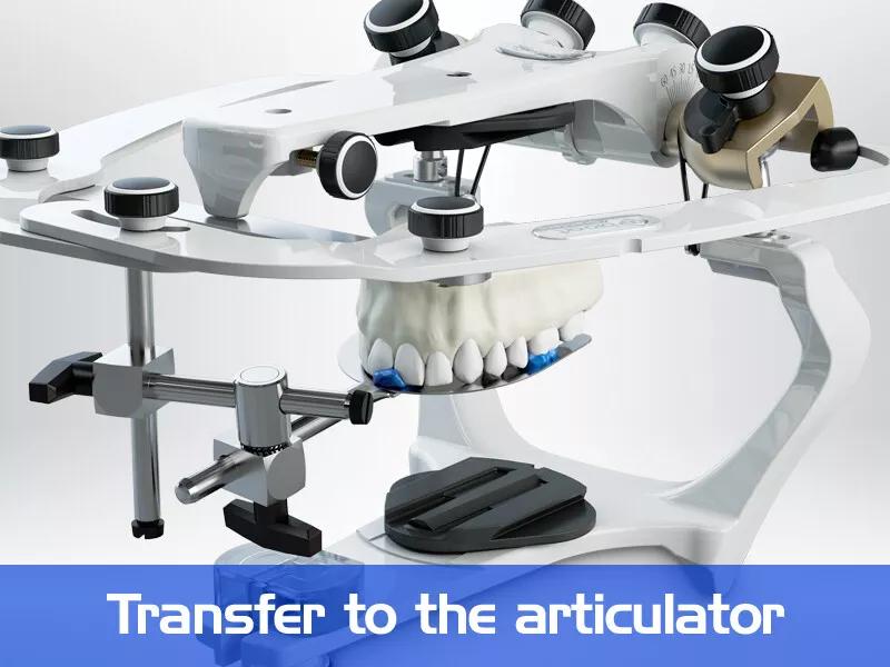 BIOART Dental Standard Facebow for A7 PLUS Semi-Adjustable Articulator - azdentall.com