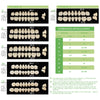 Dental Synthetic Polymer Teeth Resin Denture A1/A2/A3 28 Teeth/Set - azdentall.com