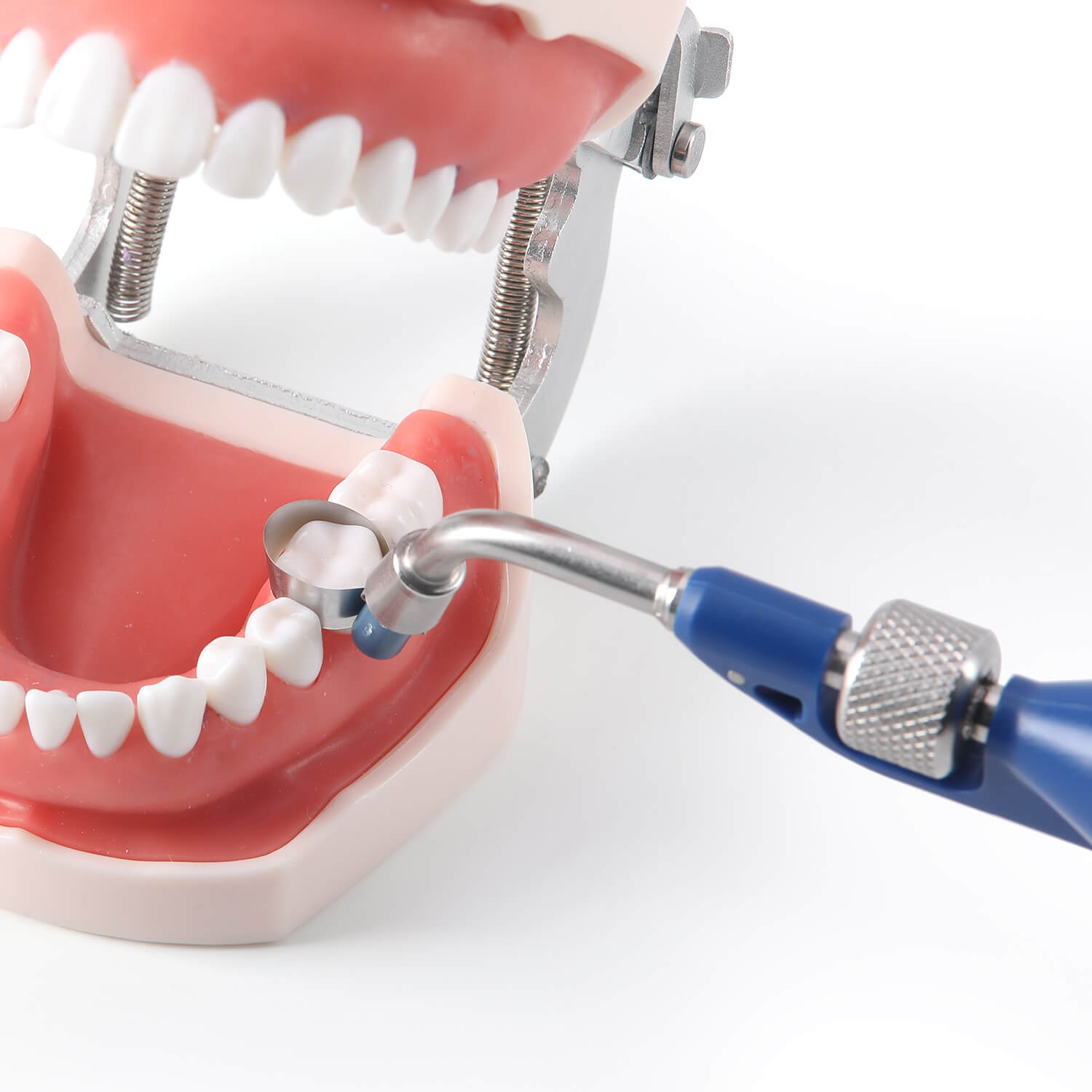 Dental Sectional Contoured Matrix System Double-Side Contoured Anatomically Shaped Matrix Bands with Handle 20Pcs/Set - azdentall.com
