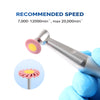 Dental Zirconia Polishing Wheel 3-Step Polishing System RA2.35mm for Contra Angle Handpiece 6pcs/Box - azdentall.com