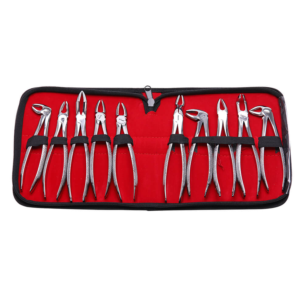Dental Surgical Tooth Extraction Forceps Pliers for Adults 10pcs/Set - azdentall.com