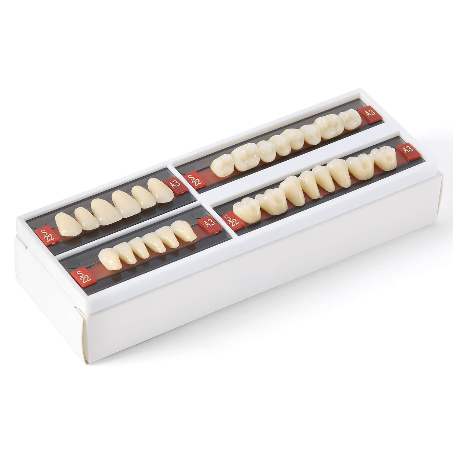 Dental Synthetic Resin Teeth Denture A1 A2 A3 Shade GL-I Two-Layer 28 Teeth/Set - azdentall.com