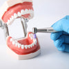 AZDENT Dental Rubber Polishing Prophy Cup Brushes RA2.35mm For Contra-angle Handpiece 100pcs/Box - azdentall.com