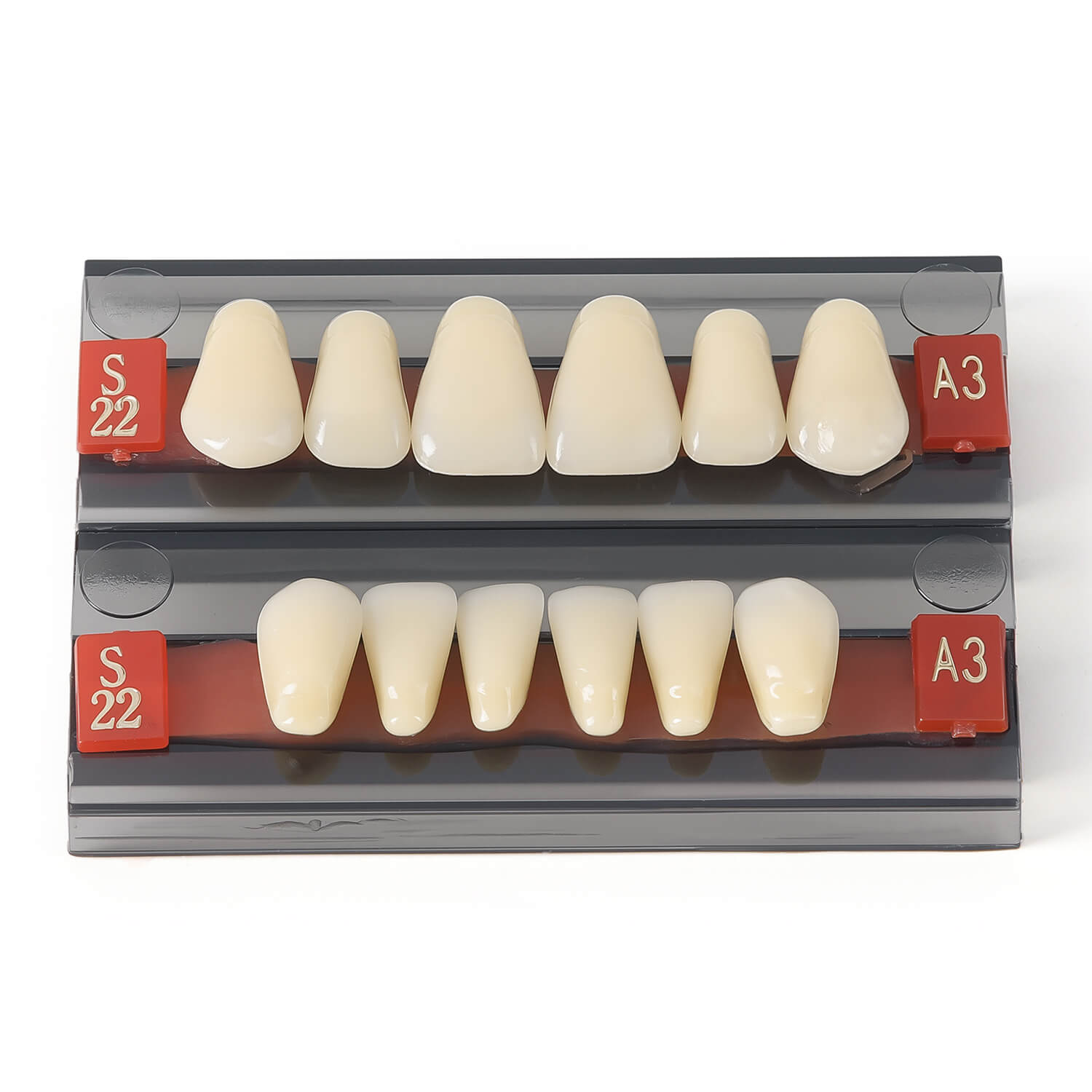 Dental Synthetic Resin Teeth Denture A1 A2 A3 Shade GL-I Two-Layer 28 Teeth/Set - azdentall.com