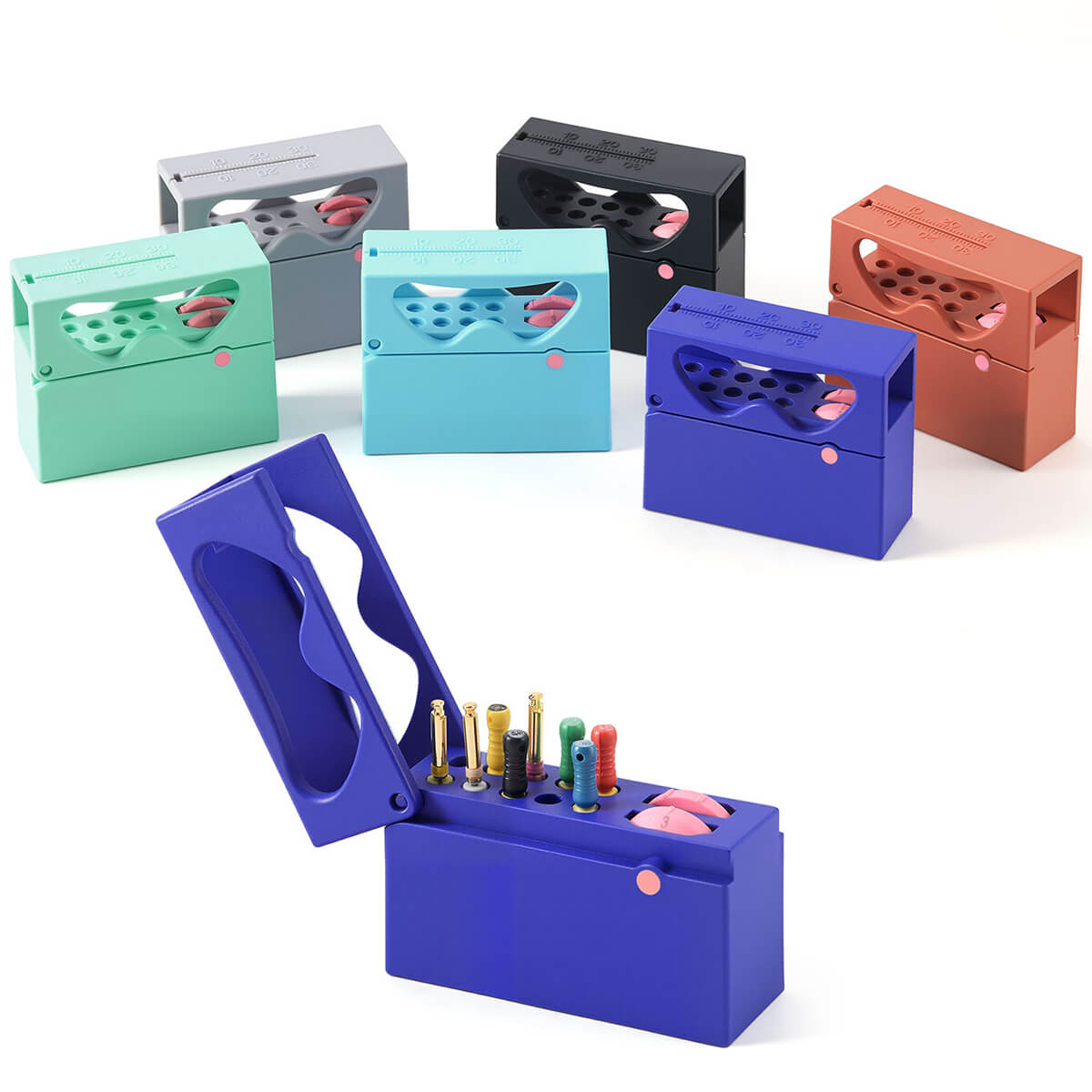 Dental 10 Holes Endo Files Disinfection Box With Memory Holder & Measuring Counter - azdentall.com