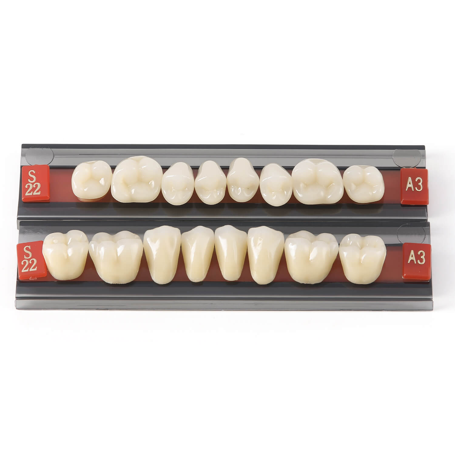 Dental Synthetic Resin Teeth Denture A1 A2 A3 Shade GL-I Two-Layer 28 Teeth/Set - azdentall.com