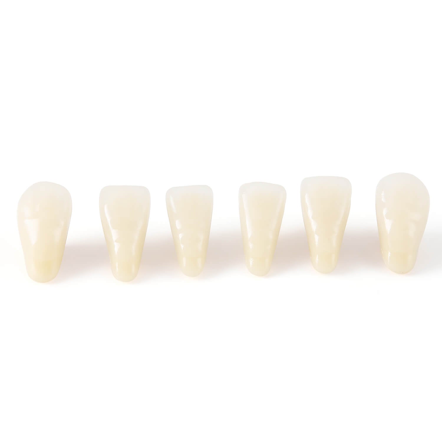 Dental Synthetic Resin Teeth Denture A1 A2 A3 Shade GL-I Two-Layer 28 Teeth/Set - azdentall.com