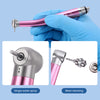 Dental Color High and Low Speed Handpiece Kit 2/4 Holes - azdentall.com