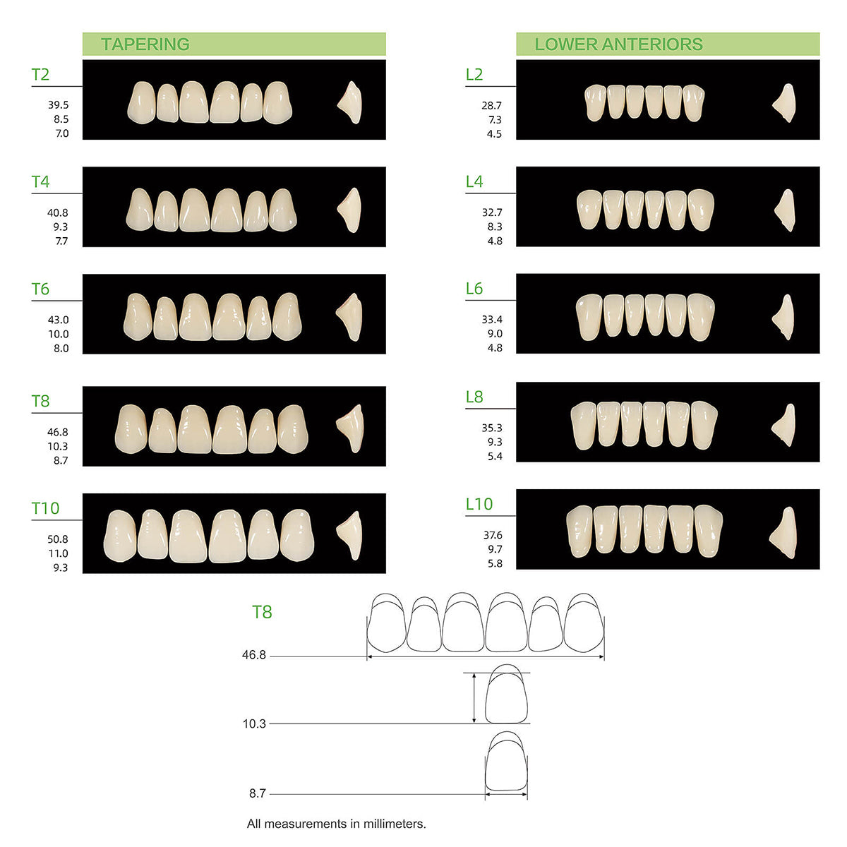 Dental Synthetic Polymer Teeth Resin Denture A1/A2/A3 28 Teeth/Set - azdentall.com