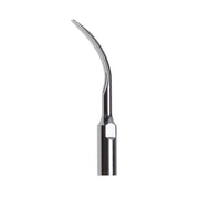 Woodpecker DTE GD6 Ultrasonic Scaler Tips 1 PC - azdentall.com