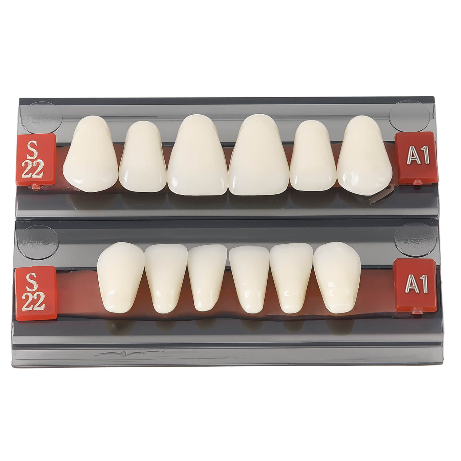 Dental Synthetic Resin Teeth Denture A1 A2 A3 GN-III Plastic Steel Two-Layer 28 Teeth/Set - azdentall.com