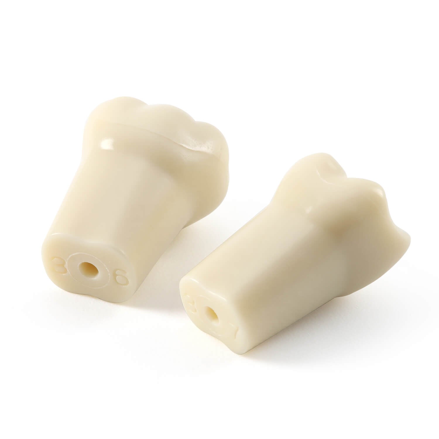 Dental Model Typodont 32Pcs Standard Resin Replacement Teeth with Screws Set - azdentall.com