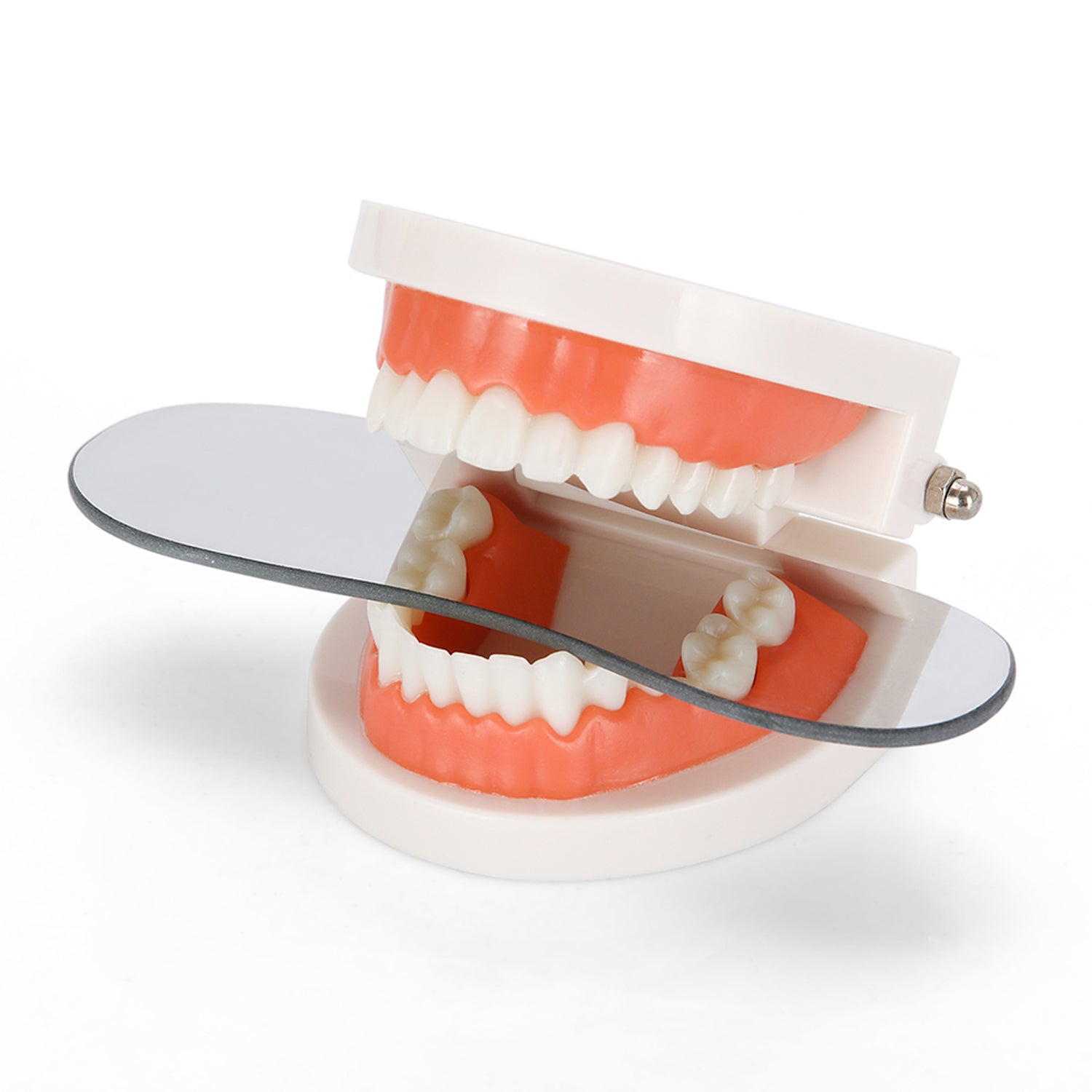 Dental Orthodontic Mirror Photography Double-Sided Glass Intraoral Photo Reflector 5pcs/Box