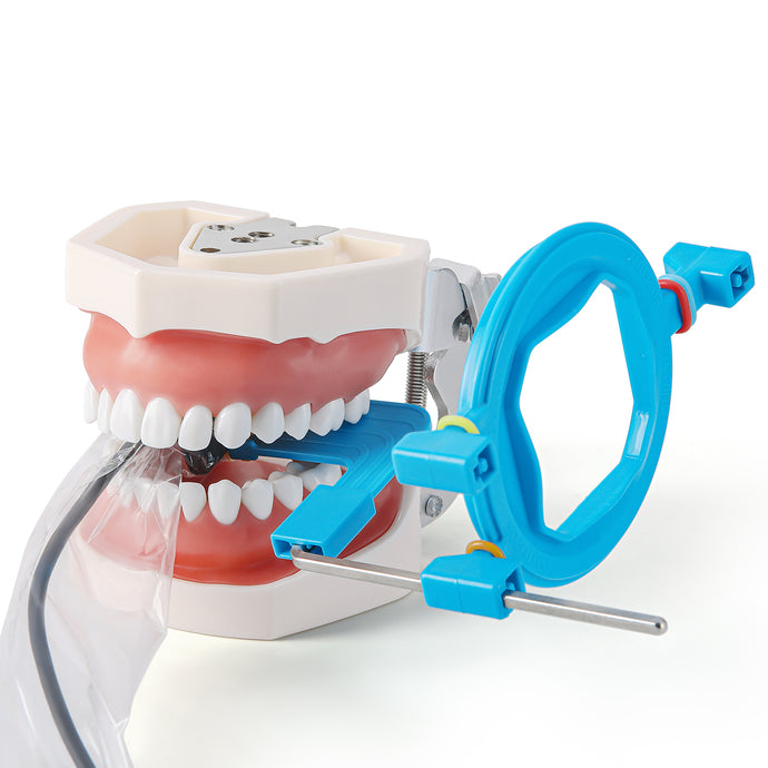 Dental X-Ray Positioner Digital Sensor Holder Positioning System 2.0 ...