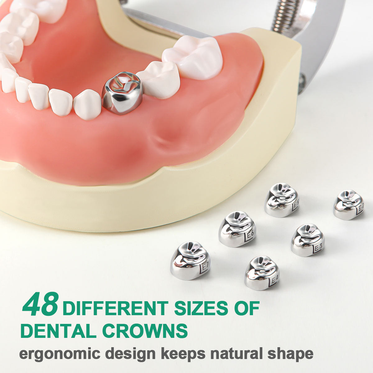 Dental Kids Primary Molar Crown Teeth Stainless Steel Temporary Crowns 48pcs/Box - azdentall.com