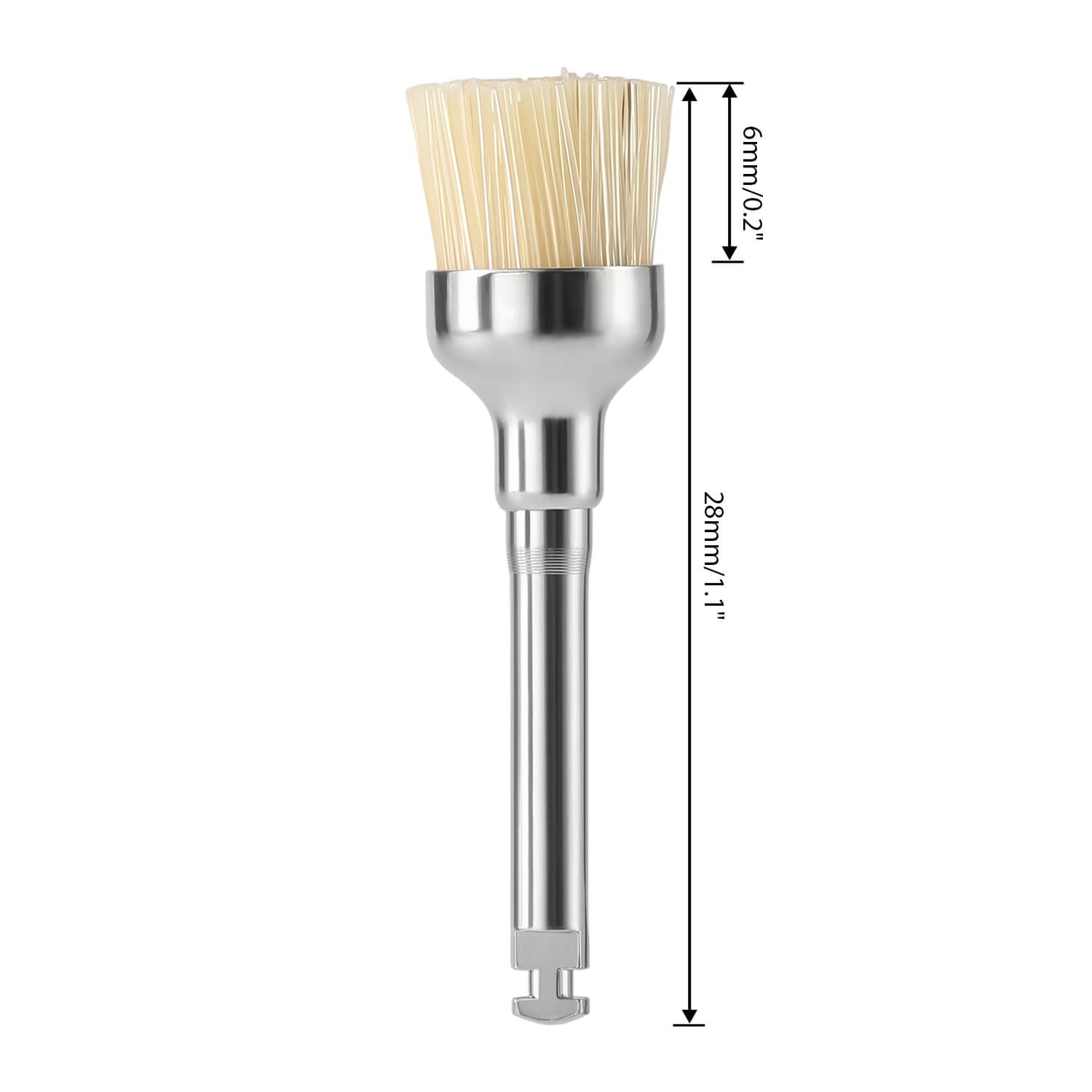 Dental Bristle Prophy Polishing Brush Bowl Shape 10pcs/Pack - azdentall.com