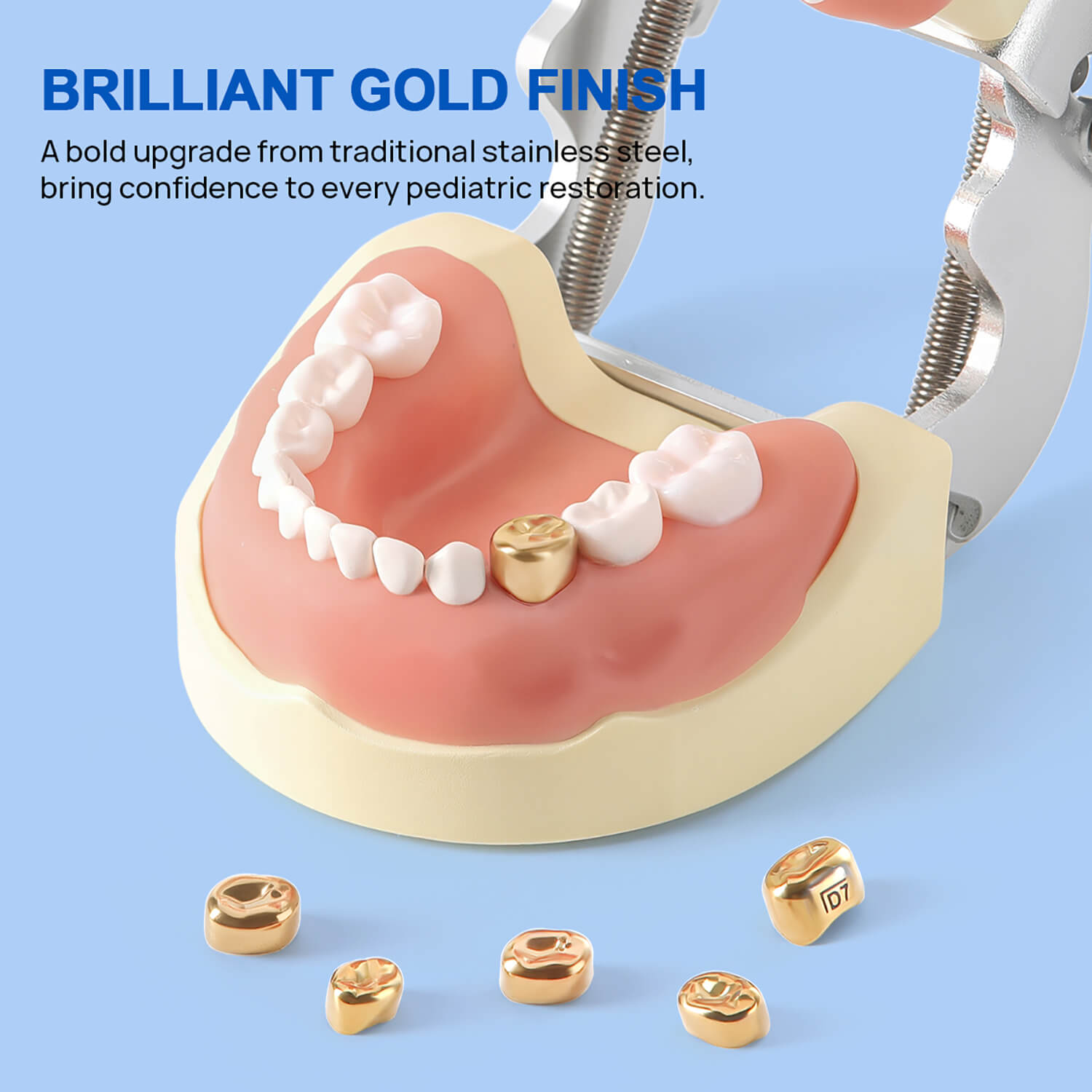 48 Sizes Dental Gold Primary Molar Kids Crown Stainless Steel Preformed Temporary Crowns 5pcs/Box - azdentall.com