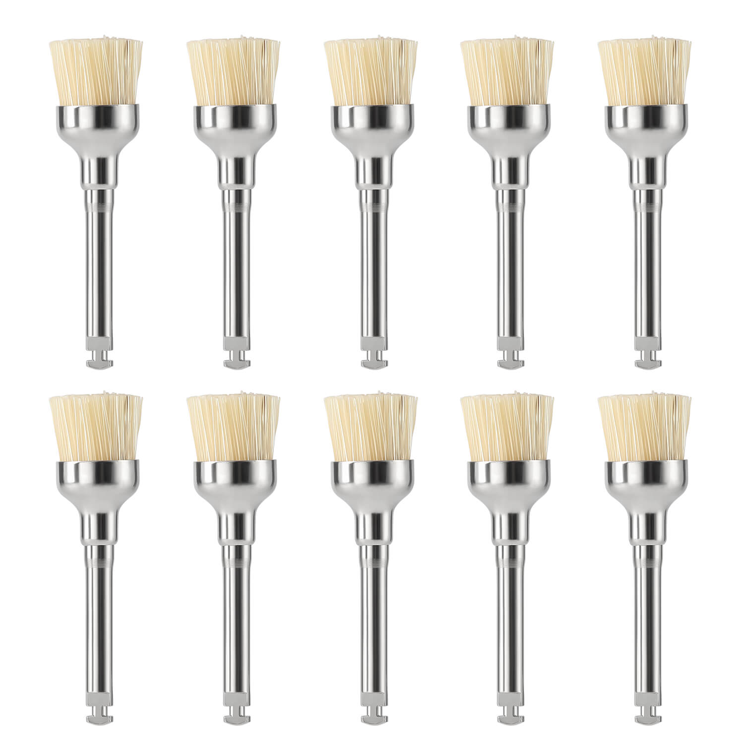 Dental Bristle Prophy Polishing Brush Bowl Shape 10pcs/Pack - azdentall.com