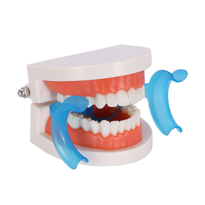 Dental Cheek Retractor Mouth Opener M Type with Mirror 10pcs/set - azdentall.com