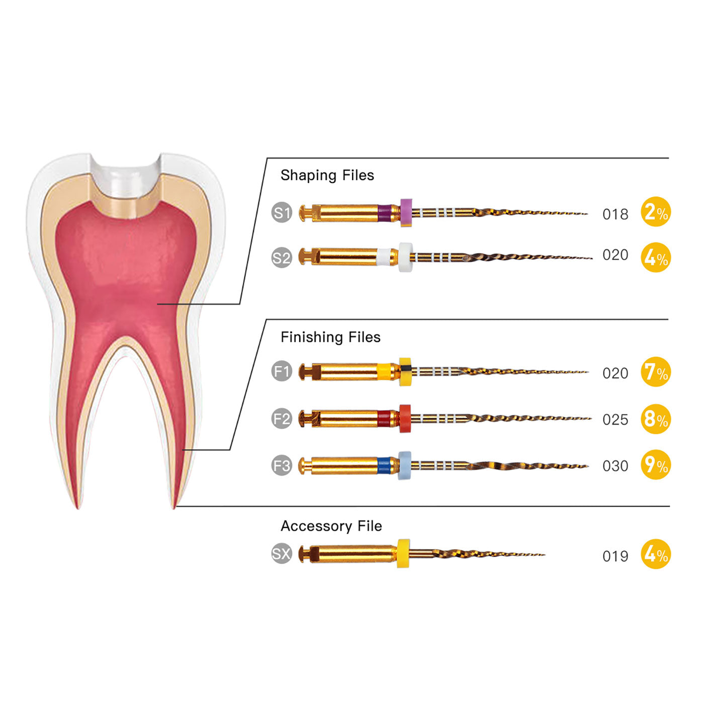 AZDENT Dental NiTi Rotary Engine Files 25mm Assorted SX-F3 Gold Taper 6pcs/Pk - azdentall.com