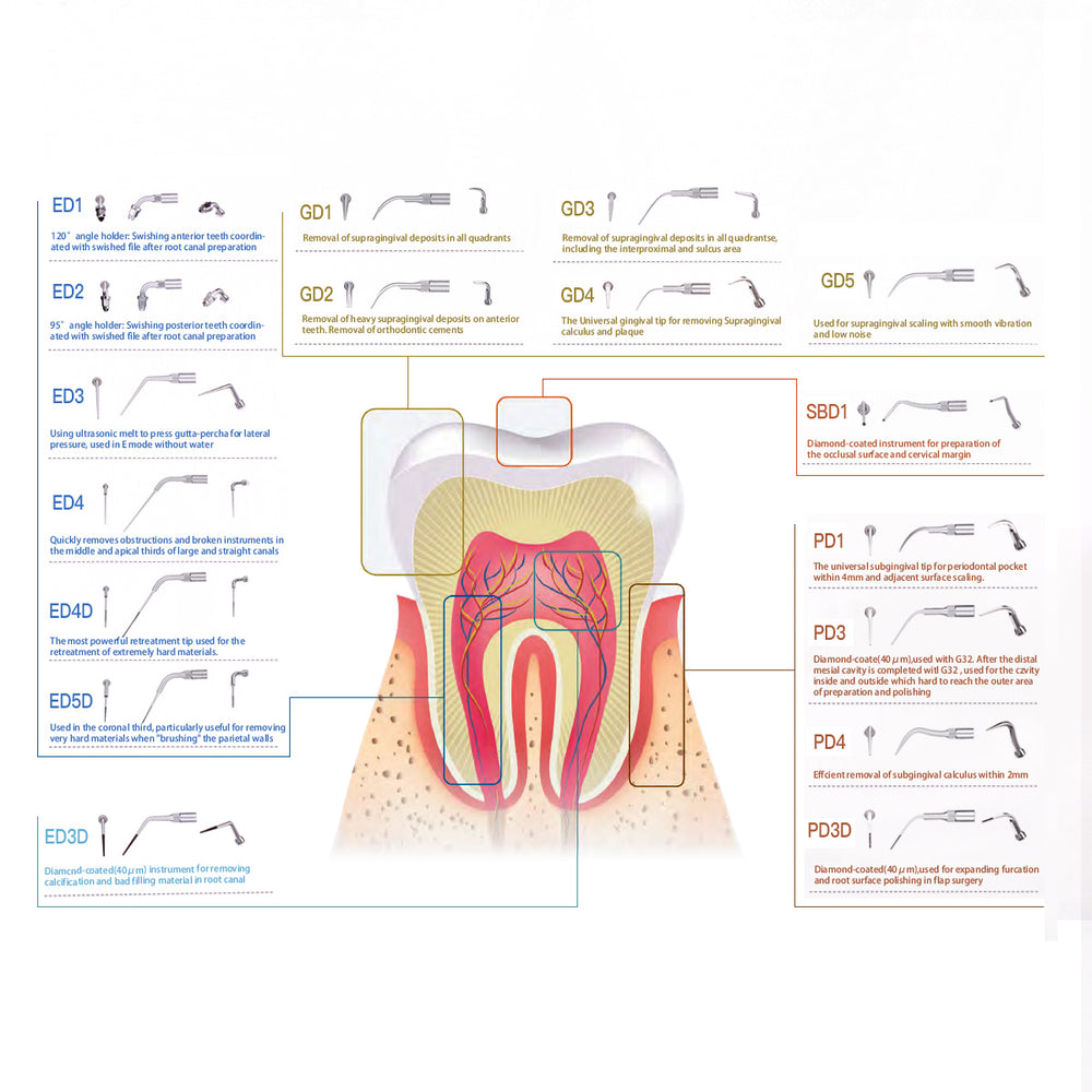 AZDENT Ultrasonic Scaler Endodontic Tips ED5D