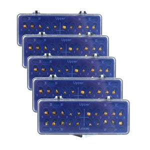 5 Boxes AZDENT Dental Metal Brackets Mini Roth/MBT 0.022 Hooks on 345 Gold Color 20pcs/Box - azdentall.com