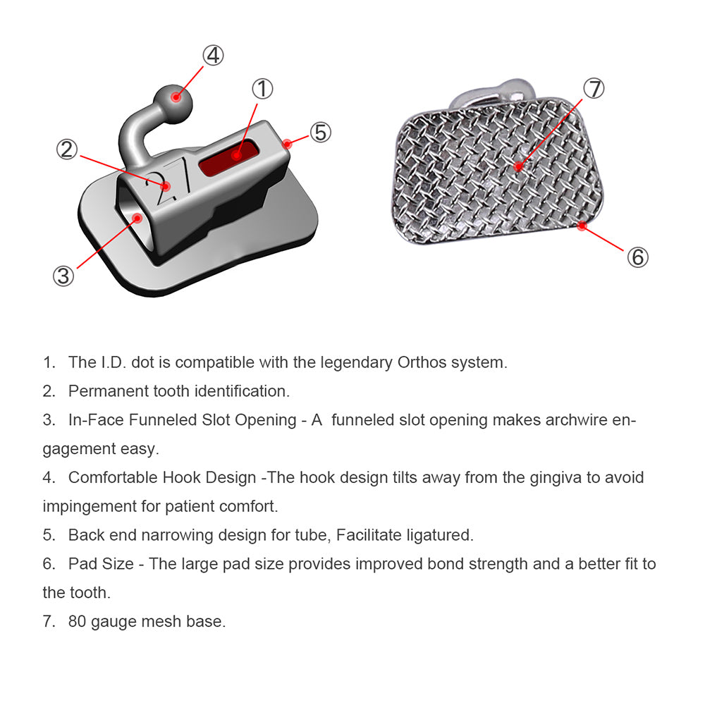 8-in-1 Net Bag Portable Orthodontic Care Kit Orthodontic Toothbrush Kit -  China Orthodontic Care Kit, Orthodontic Toothbrush Kit | Made-in-China.com